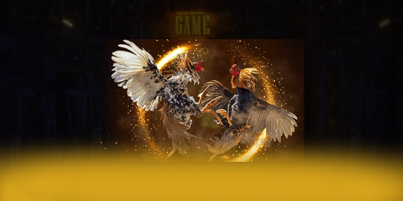 ĐÁ GÀ TRỰC TIẾP - Cổng trò chơi nhiều khuyến mãi siêu hot hiện nay – Khám phá chương trình ĐÁ GÀ TRỰC TIẾP ĐÁ GÀ TRỰC TIẾP - Cổng trò chơi nhiều khuyến mãi siêu hot hiện nay – Khám phá chương trình ĐÁ GÀ TRỰC TIẾP