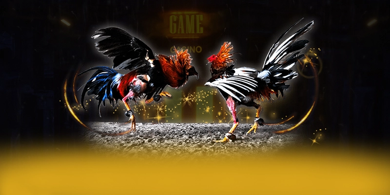 
Tìm hiểu CONGA6789 - Cổng giải trí chất lượng được cộng đồng đánh giá cao
