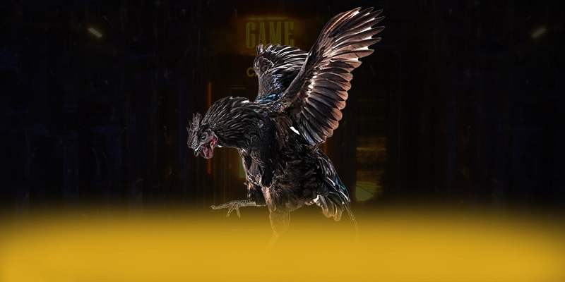 CONGA6789 – Nhà cái an toàn tuyệt đối, được cộng đồng game thủ tin tưởng.