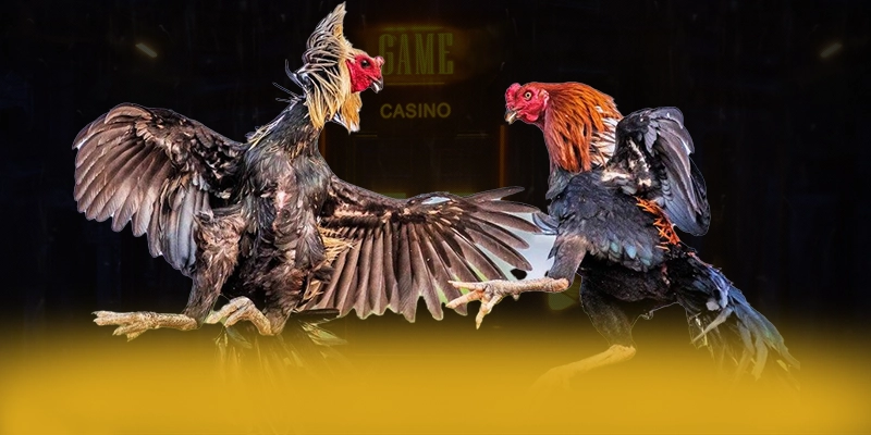 
Giới thiệu VWIN - Sân chơi hàng đầu Việt Nam 2025
