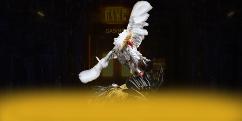 CONGA6789 – Trang game uy tín, khẳng định vị thế hàng đầu tại Việt Nam.