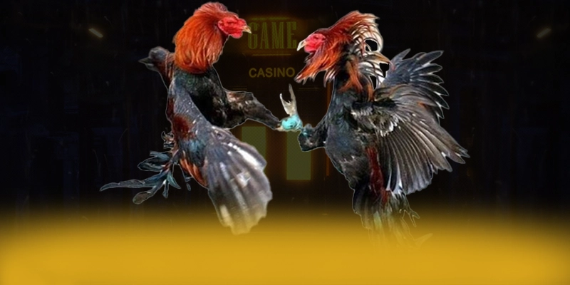 SA88 - Nhìn lại toàn bộ ưu điểm một cách chi tiết.