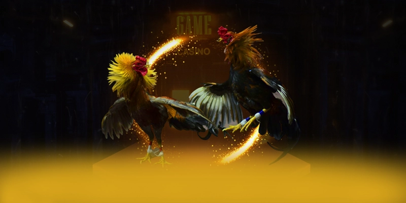 988bet - Cổng cá cược được đánh giá cao 2025