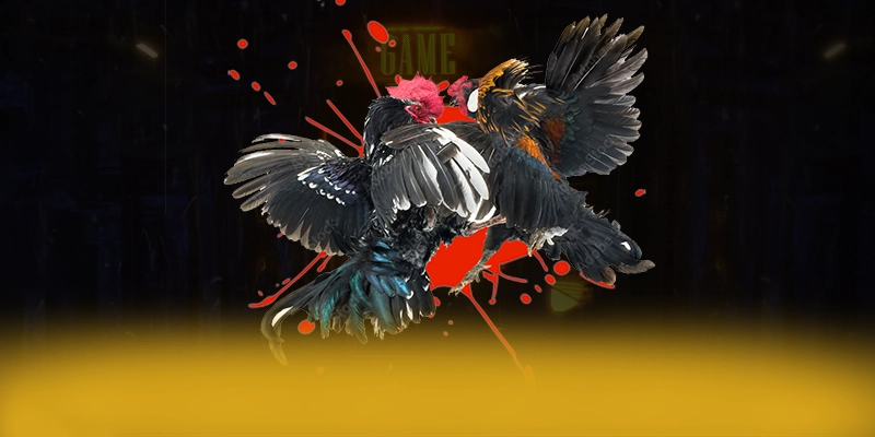 SA88 – Sân chơi đẳng cấp, khẳng định vị thế hàng đầu tại Việt Nam.