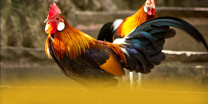 tài xỉu online – Cổng trò chơi có thưởng lớn, được cộng đồng đánh giá tích cực.