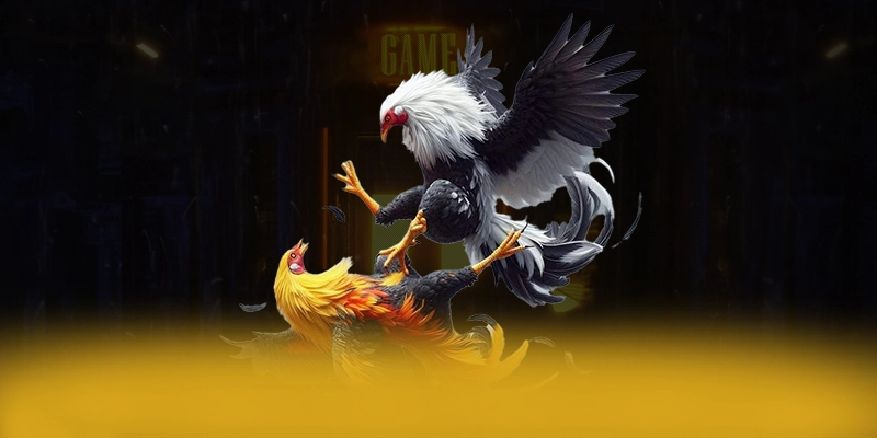 Khám phá ngay GEM88 - Sảnh game được tin dùng trên thị trường
Khám phá ngay GEM88 - Sảnh game được tin dùng trên thị trường