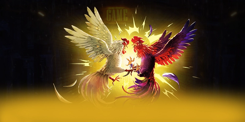 SUNWIN - Trang game đáng tin cậy được giới chuyên môn đánh giá cao – Cập nhật thông tin về SUNWIN