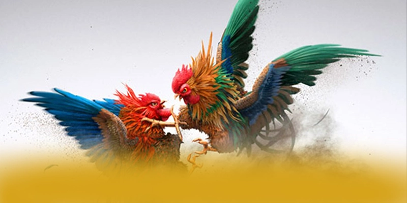 88VV - Cổng cá cược với hệ thống bảo mật hiện đại được đánh giá cao – Đánh giá 88VV