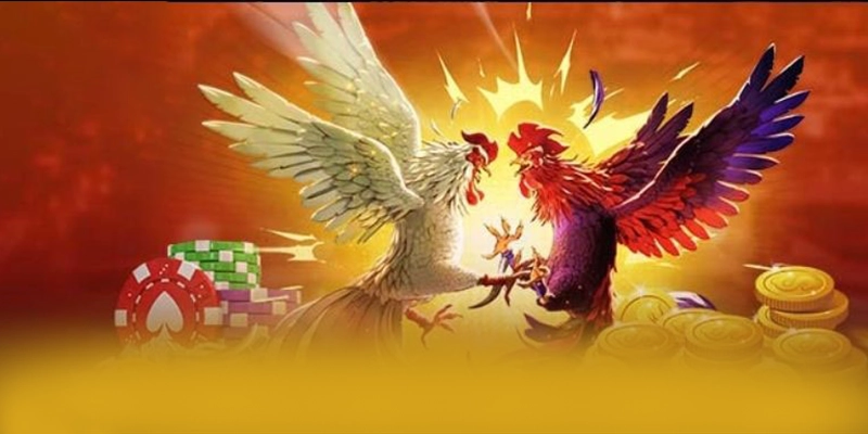 RR99 - Cổng game bài an toàn trên thị trường – Khám phá ngay RR99 RR99 - Cổng game bài an toàn trên thị trường – Khám phá ngay RR99